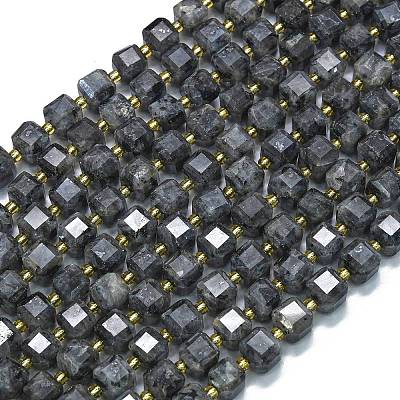 Natural Larvikite Beads Strands G-K389-A31-01-1