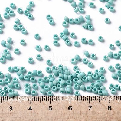 TOHO 8/0 Round Beads SEED-XTR08-0413F-1