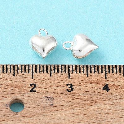 925 Sterling Silver Charms STER-H106-01A-S-1