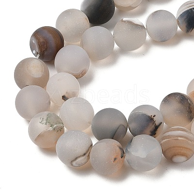 Natural Dendritic Agate Beads Strands G-A248-A04-01-1