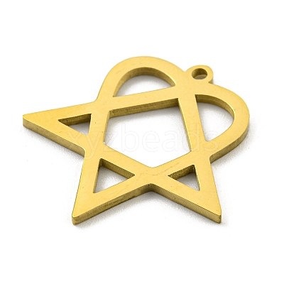304 Stainless Steel Pendants LS-STAS-R228-03G-1