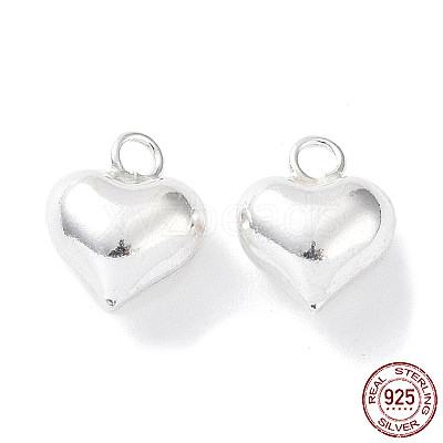 925 Sterling Silver Charms STER-H106-01A-S-1
