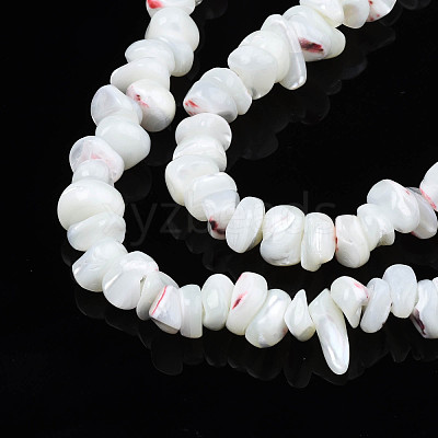 Natural Freshwater Shell Beads Strands SHEL-N003-23-1
