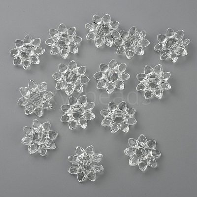 Transparent Acrylic Beads X-TACR-491-01-1