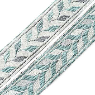 Embroidery Polyester Ribbon LS-OCOR-WH0033-88C-1