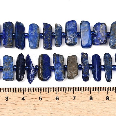 Natural Lapis Lazuli Beads Strands G-K393-B05-1