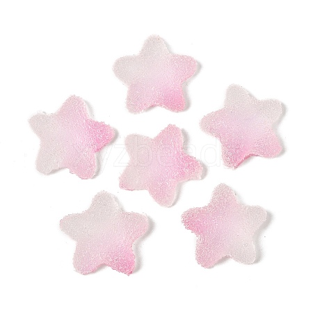 Imitation Candy Food Style Resin Cabochons RESI-R461-02K-1