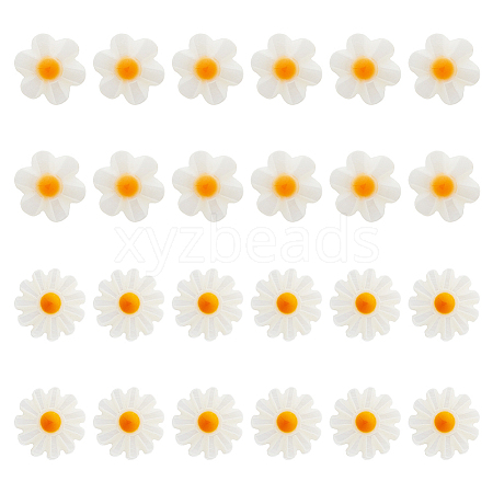 24Pcs 2 Styles Natural Freshwater Shell Beads SHEL-HS0001-05-1