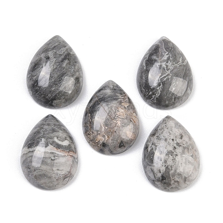 Natural Map Stone Cabochons G-H094-01A-34-1