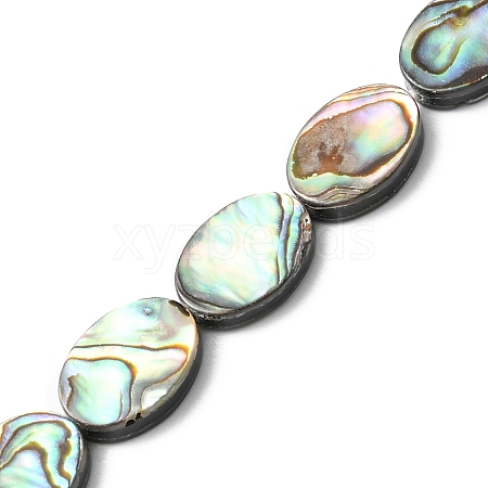 Natural Paua Shell Beads Strands SHEL-F006-06-1