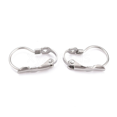Tarnish Resistant 304 Stainless Steel Leverback Earring Findings LS-STAS-B003-05P-1