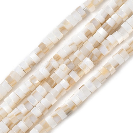 Natural Freshwater Shell Beads Strands SSHEL-C013-04A-1