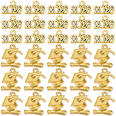 100Pcs 2 Styles Alloy Pendants FIND-SC0021-89AG-1