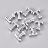 Alloy Slide Charms PALLOY-WH0066-21T-2
