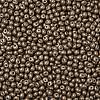 6/0 Glass Seed Beads X1-SEED-L011-08A-09-3