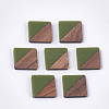 Resin & Walnut Wood Cabochons RESI-S358-A-90C-1