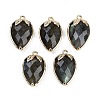 Natural Labradorite Faceted Pendants G-M431-06G-12-1