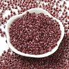 Transparent Glass Round Seed Beads X1-SEED-B001-05A-21-2