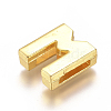 Alloy Slide Charms PALLOY-WH0069-02M-G-2