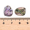 Natural Paua Shell Nuggets Charms SHEL-T020-11B-3