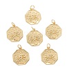 Brass Pendants KK-P204-06G-1