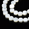 Natural Trochid Shell/Trochus Shell Beads Strands SSHEL-S266-002-3