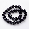 Dyed Natural Fossil Beads Strands G-E328-12mm-10-3