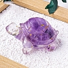 Natural Amethyst Display Decorations PW-WG32FD3-13-1