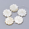 Natural Freshwater Shell Beads SHEL-T007-03-1