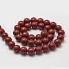 Shell Pearl Beads Strands BSHE-L026-01-10mm-2