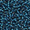 TOHO 8/0 Round Beads SEED-TR08-0023BD-2