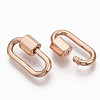 Brass Screw Carabiner Lock Charms KK-T047-08RG-3