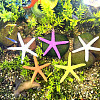 GOMAKERER 20Pcs 5 Colors PVC Starfish Display Decorations DJEW-GO0001-04-6