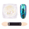 Nail Art Glitter Powder MRMJ-Q046-009A-1