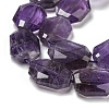 Natural Amethyst Beads Strands G-P544-B06-01-4