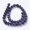 Natural Sodalite Beads Strands G-G448-10mm-25-2