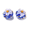 Handmade Lampwork Enamel Beads LAMP-Z020-05E-2
