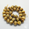 Natural Yellow Tiger Eye Beads Strands G-G212-10mm-18-2