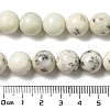 Natural Dendritic Jasper Beads Strands G-H298-A15-05-5