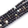 Natural Black Lip Shell Bead Strands SSHEL-Q298-02-1