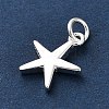 925 Sterling Silver Charms FIND-Z069-04S-A-3