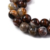 Natural Mexico Crazy Agate Beads Strands G-L615-A01-02-4