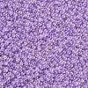 12/0 Grade A Round Glass Seed Beads SEED-N001-B-337-2