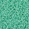MIYUKI Round Rocailles Beads SEED-X0054-RR0219-3