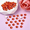 Preciosa® MAXIMA Crystal No Hotfix Flatback Stones Y-PRC-NSS10-90040-2