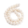 Natural Cultured Freshwater Pearl Beads Strands PEAR-C003-17A-3