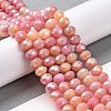 Faceted Electroplated Glass Beads Strands GLAA-C023-02-B09-2