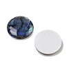 Natural Paua Shell Cabochons SSHEL-I026-20B-2