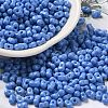 Baking Paint Glass Seed Beads SEED-K009-01A-19-1