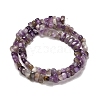 Natural Amethyst Beads Strands G-Q167-B12-01-3